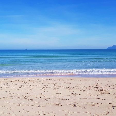 Ideal Property Mallorca - Villa Xisco 阿尔库迪亚 外观 照片