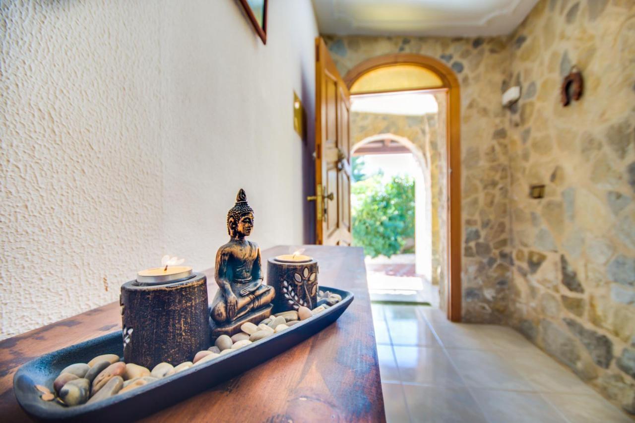 Ideal Property Mallorca - Villa Xisco 阿尔库迪亚 外观 照片